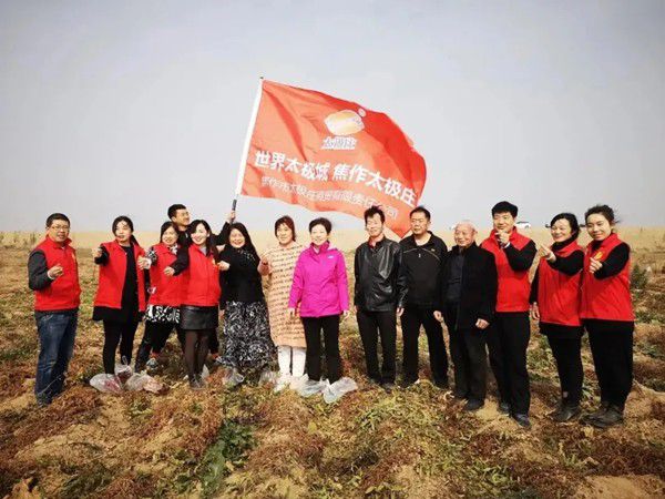 11月12日，眾人翹首以盼的太極莊山藥采挖活動(dòng)在太極莊公司的溫縣·富硒鐵棍山藥標(biāo)準(zhǔn)化種植基地拉開(kāi)帷幕