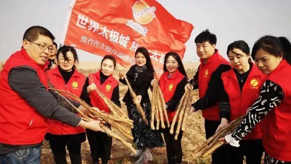 鐵棍山藥規(guī)?；?biāo)準(zhǔn)化種植